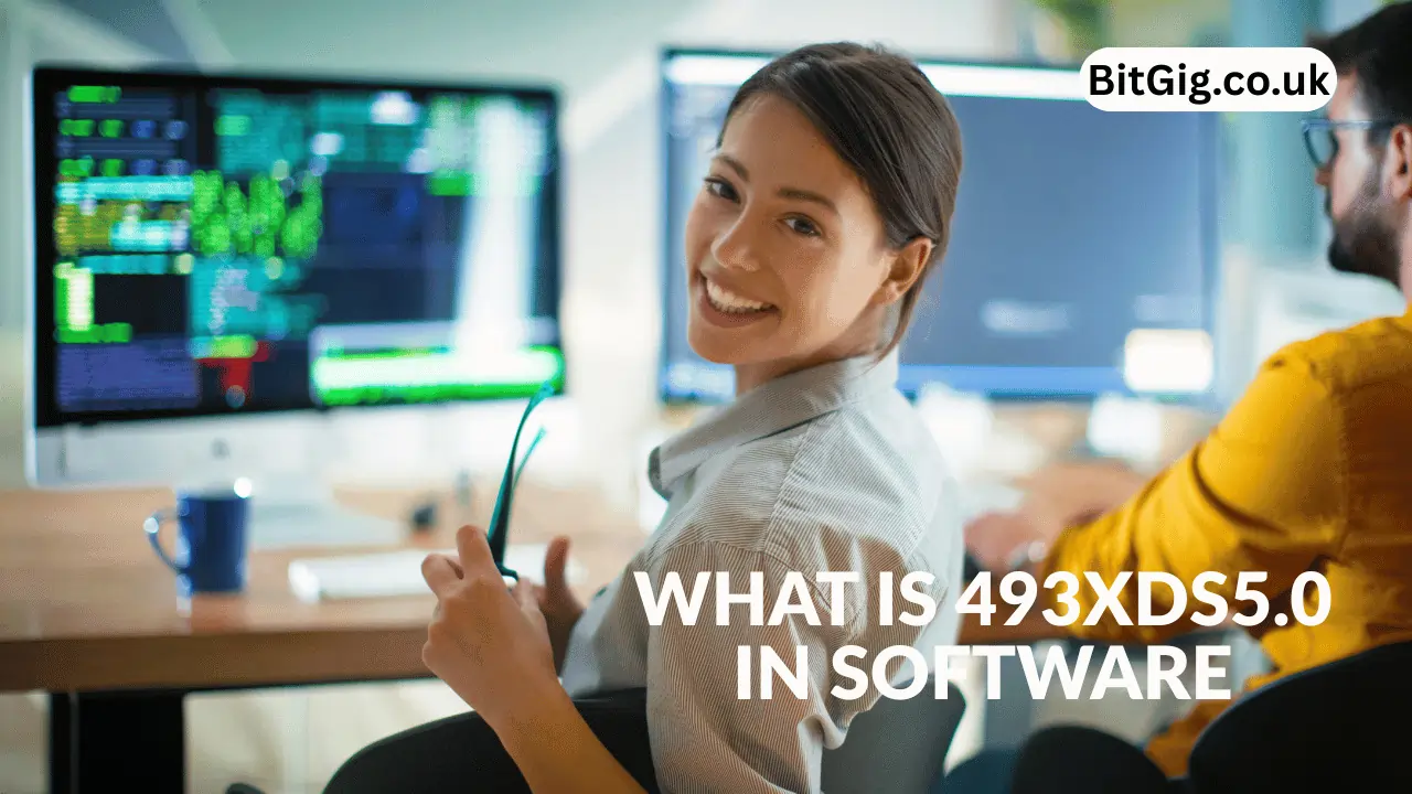 what is 493xds5.0 in software